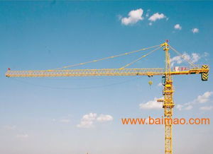 青岛天正重工 以合理价格与及时服务，构筑塔吊租赁的坚实后盾